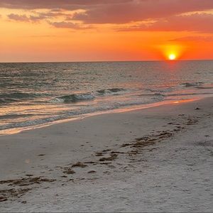 Meet your Posher, Chrissy